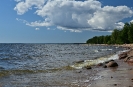 Комарово_1