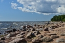 Комарово_3