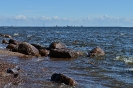 Комарово_4