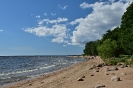 Комарово_5