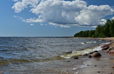 Комарово_1