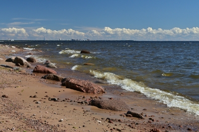 Комарово_2